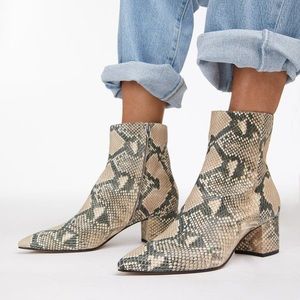 Dolce Vita Bel Ankle Boot in Snake Print